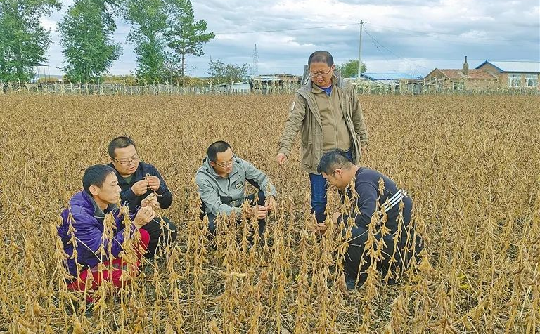 中央一號(hào)文件里的內(nèi)蒙古實(shí)踐種業(yè)振興篇相關(guān)圖片
